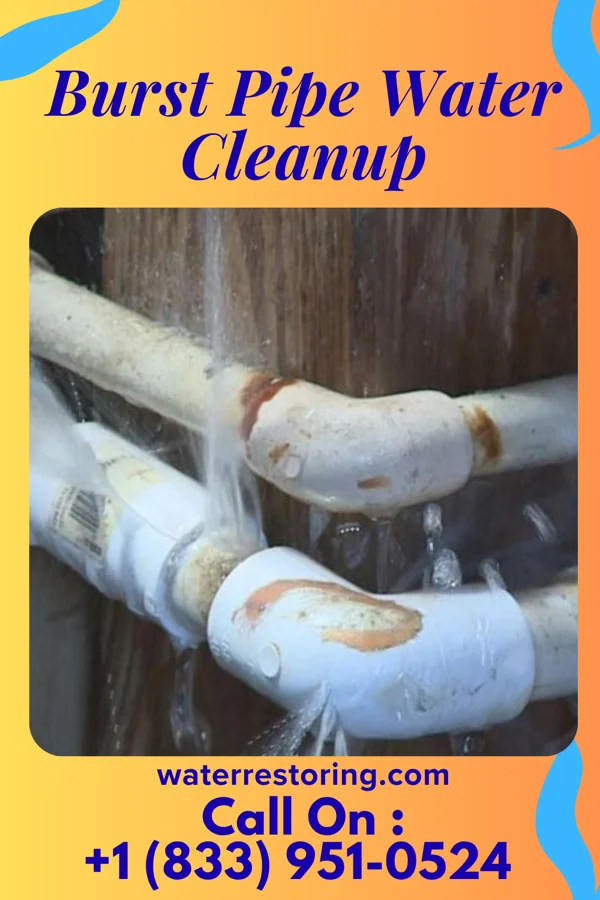 Burst Pipe Water Cleanup in Oakhaven, AR